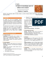 Fiche Technico-Economique Tomate Cra Agadez Mars2020