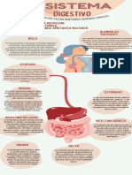 InfografiaDEAnatomia PMRG DENutricion