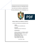 Matriz Características de Empresas Jurídica