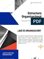 Estructura organizacional y factores que la afectan