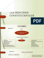 Mapas Principios Constitucionales