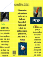 Aves Representativas Del Peru