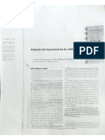 Adaptación Funcional de La Vivienda