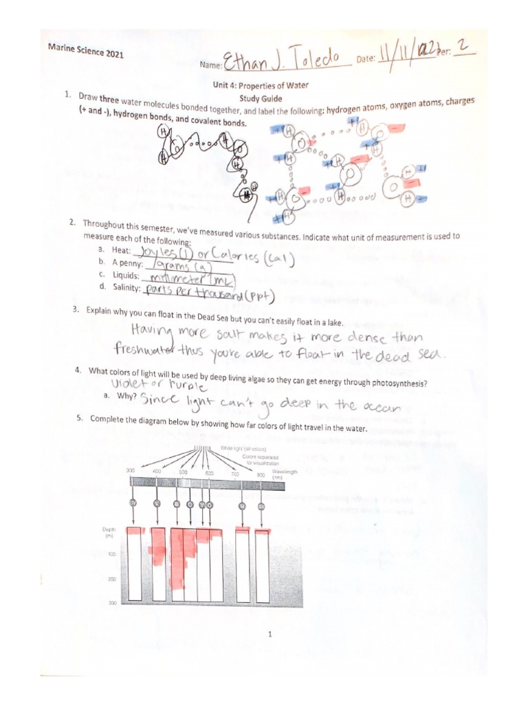Unit 4 Study Guide | PDF