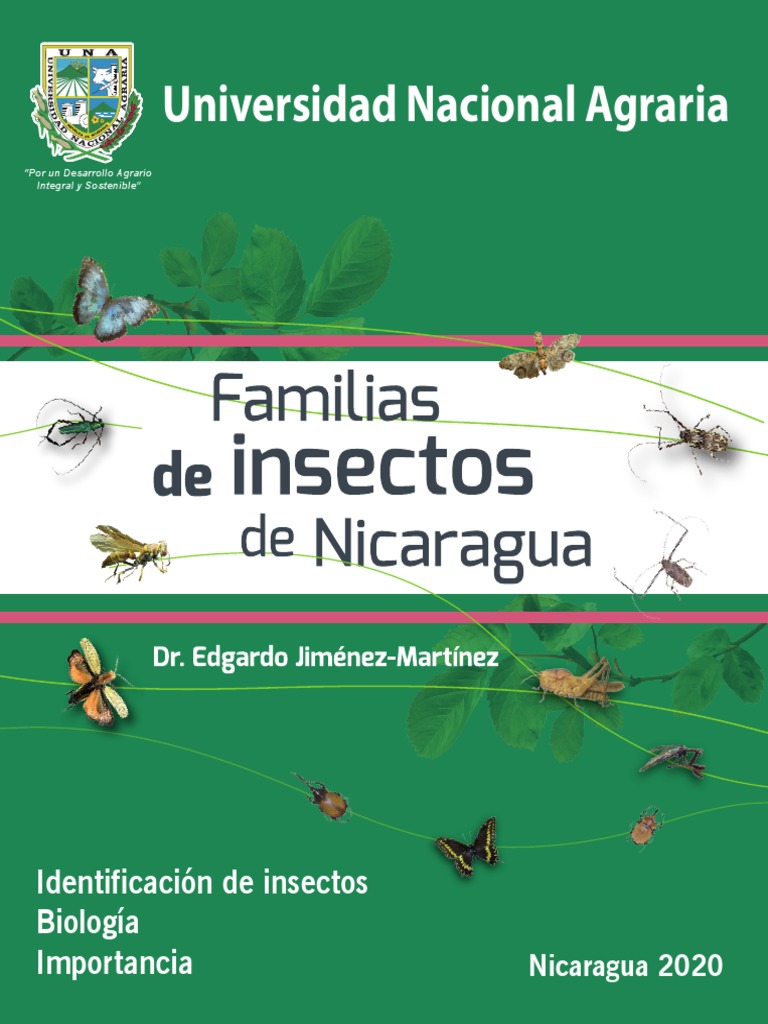 Insectos de Nicaragua | PDF
