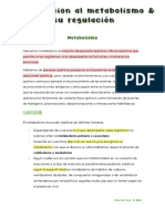 5.1 Metabolismo-Definicion-Tipos-Organizacion