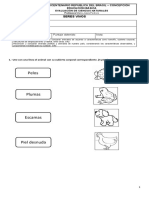 Evaluacion  Matemáticas Sumas y Restas