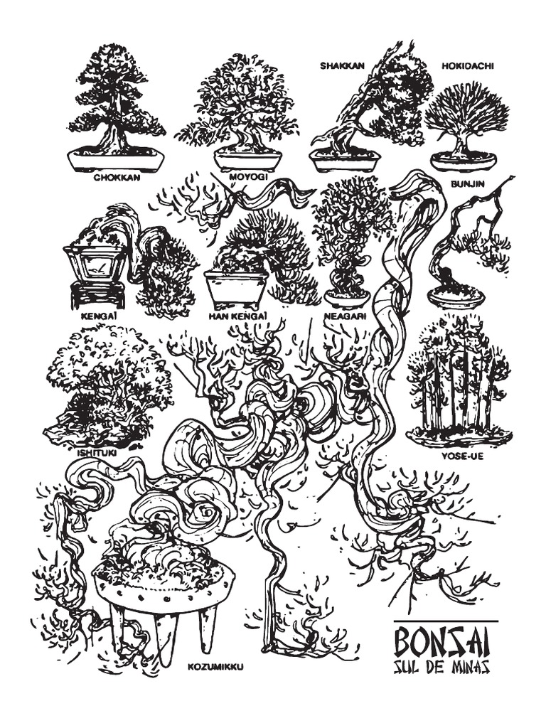 Bonsai Estilos Sul de Minas PDF