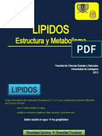 LIPIDOS