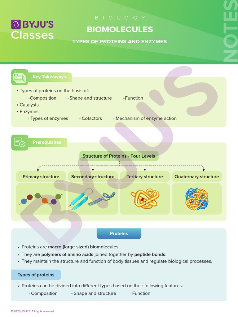 Biomolecules Types of Proteins and Enzymes PDF Enzyme Active Site