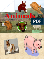 PP T Animals