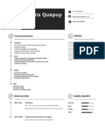 1 - Plantilla Curriculum