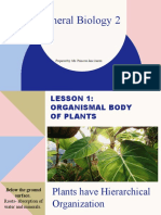 Lesson1 Organismal Body of Plants
