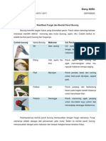 Tipologi Paruh Burung