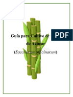 Guia de Cultivo de Caña de Azucar - SeccB