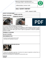 Daily Safety Report