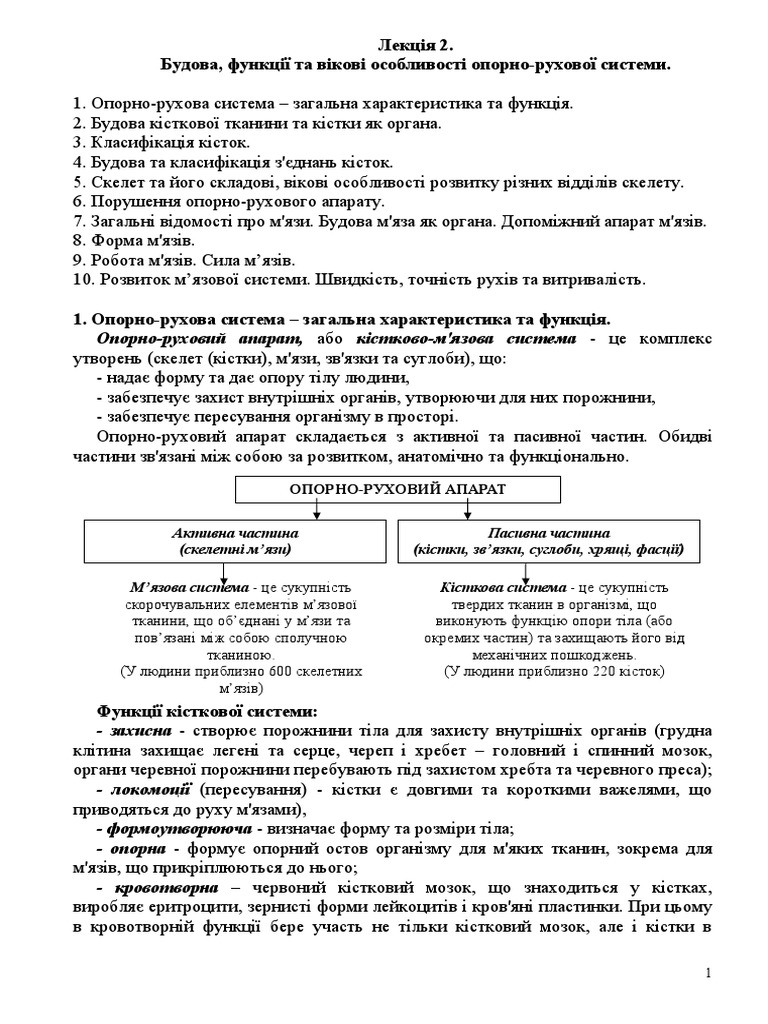 Л 2 ОДС строение Физиол возр особ-ти | PDF