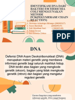 DETEKSI DNA