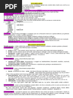 3. Vocabularul