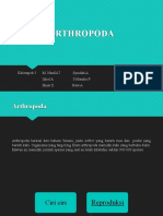 Arthropoda Kelompok 5