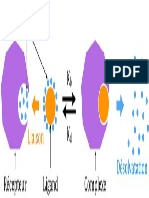 Liaison Dun Ligand Orange Dans Un Recepteur Violet en Presence de Solvant Bleu - PPM