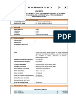 Ficha Resumen Técnico: Proyecto