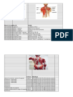 Muscle Groups and Actions Mindmap