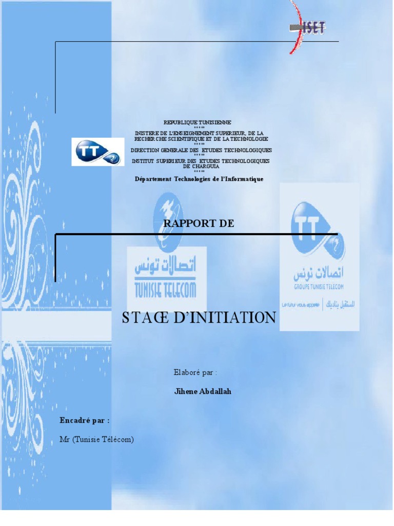 Rapport de Stage  Informatique  Business