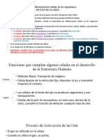 Apoyo Examen Parcial Biología. II Trimestre