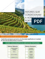 Ppt2 Factores Condicionantes Agricultura Portuguesa