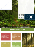 ppt15 Áreas florestais