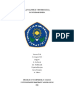Download Identifikasi Enzim by Noyalita Khadij SN59846408 doc pdf