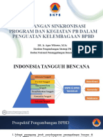 Tantangan Sinkronisasi Program Dan Kegiatan PB Dalam Penguatan Kelembagaan BPBD