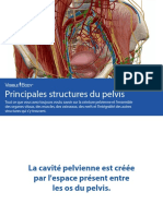 VB Pelvic Cavity Ebook - FR