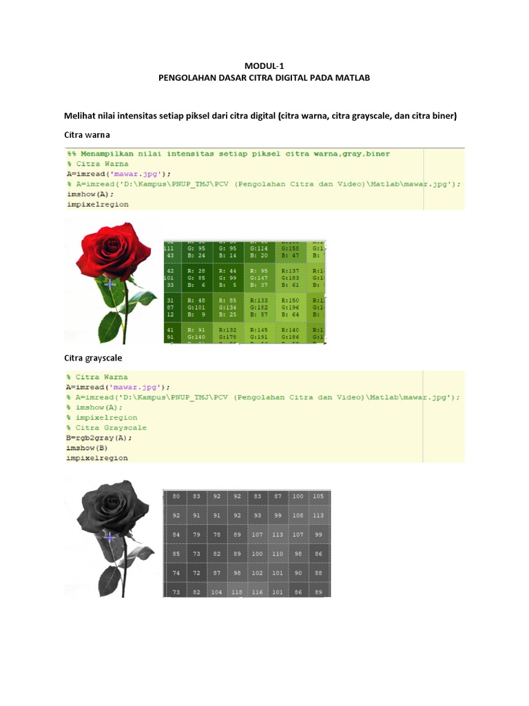 Modul 1 Dasar Pengolahan Citra Matlab Pdf