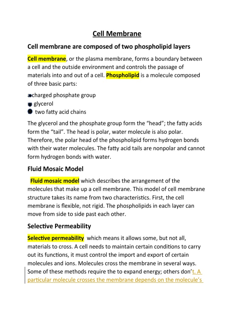 Cell Membrane L3 CH3 | Download Free PDF | Cell Membrane | Cell (Biology)
