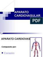 Aparato Cardiovascular BPE01