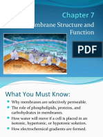 Chapter 7A Cell Membrane