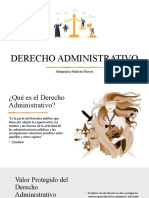 Seminario DERECHO ADMINISTRATIVO Alejandra