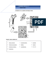 Cuaderno Virtual N