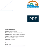 Principios y Clasificación de Auditorias