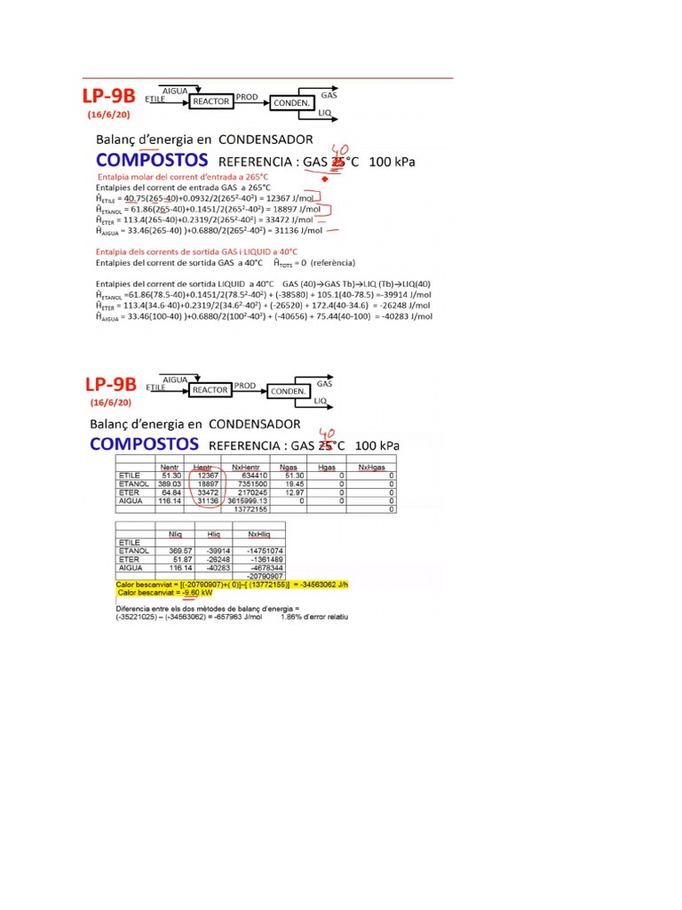 lp9 Fep | PDF