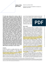 Apatía y La Anatomía Funiconal de Los Circuitos Prefrontales Ganglios Basales