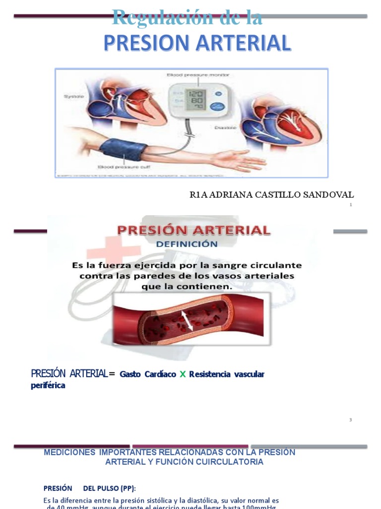 Regulacion de La Presion Arterial | PDF | Artería | Angiotensina