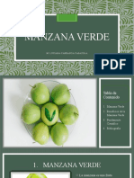 Manzana Verde Luciana Informatica PPW