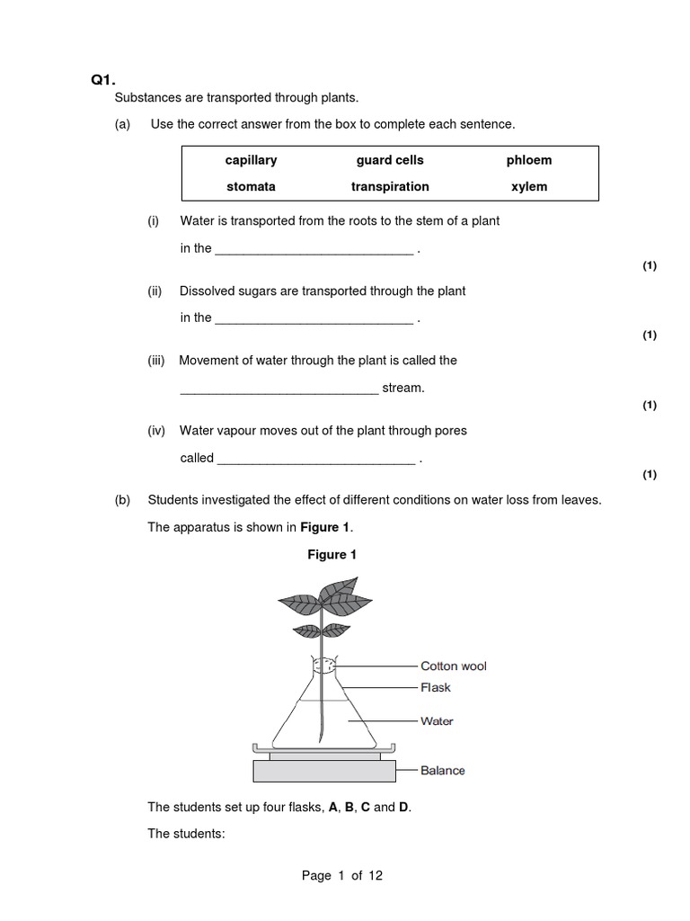 Transpiration Exam Practice Questions PDF Stoma Leaf