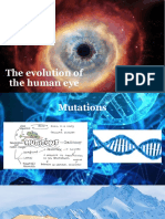 The evolution of the human eye pdf