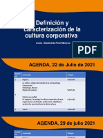 Definición y Caracterización de La Cultura Corporativa