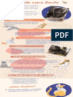 Infografia Animales Ilustrado Naranja Fio