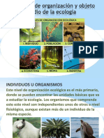 Niveles de Organización y Objetos de Estudio de La Ecología